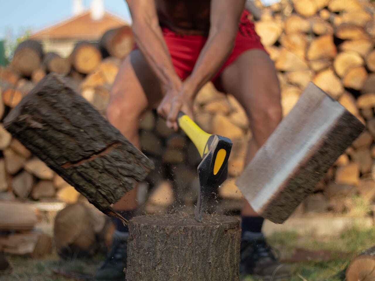 The Steps Involved in Our Tree Care Process in Bellair Meadowbrook Terrace, FL